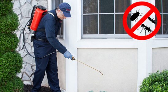 Beypazarı Uçan Haşere İlaçlama böcek ilaçlama ve haşere kontrolü — ilaclama-tr.com